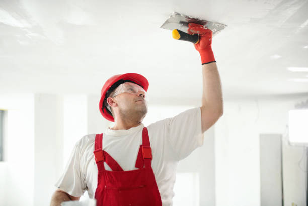 Best Drywall Texturing  in Bassett, VA